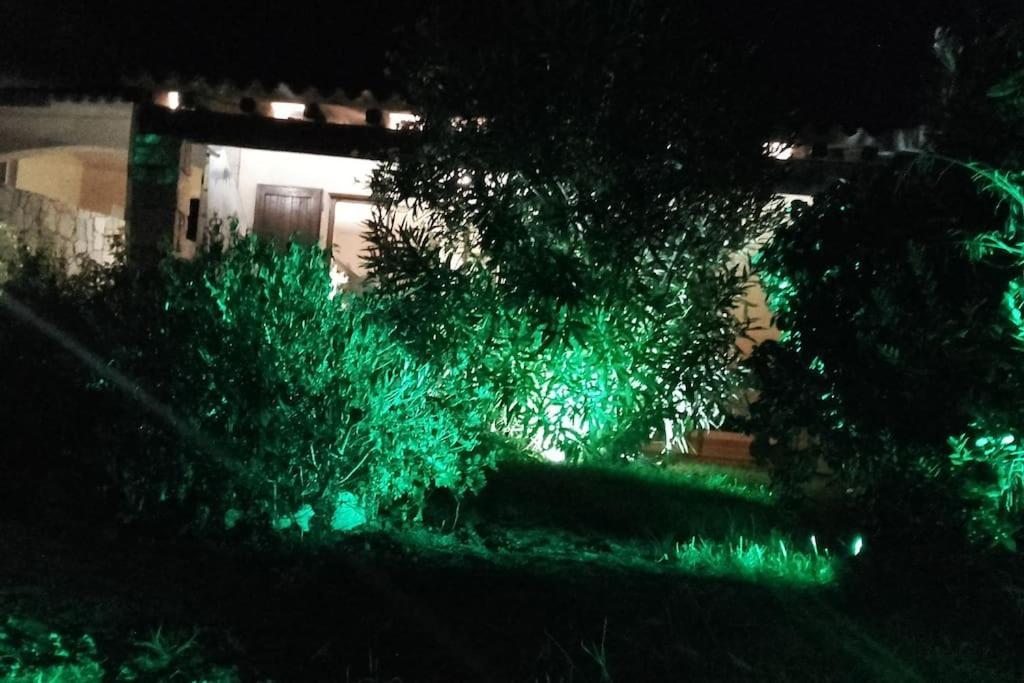 Villetta Reparata Santa Teresa Gallura Buitenkant foto